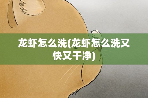 龙虾怎么洗(龙虾怎么洗又快又干净)