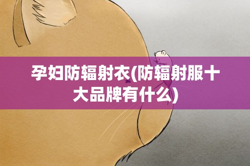 孕妇防辐射衣(防辐射服十大品牌有什么)
