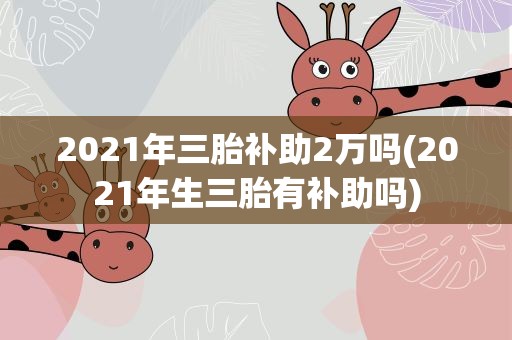2021年三胎补助2万吗(2021年生三胎有补助吗)
