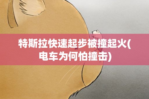 特斯拉快速起步被撞起火(电车为何怕撞击)