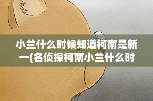 小兰什么时候知道柯南是新一(名侦探柯南小兰什么时候知道柯南是新一)