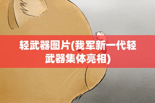 轻武器图片(我军新一代轻武器集体亮相)
