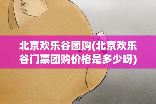 北京欢乐谷团购(北京欢乐谷门票团购价格是多少呀)