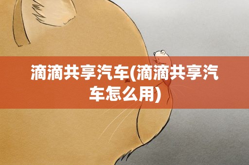 滴滴共享汽车(滴滴共享汽车怎么用)