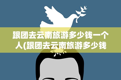 跟团去云南旅游多少钱一个人(跟团去云南旅游多少钱一个人做飞机)