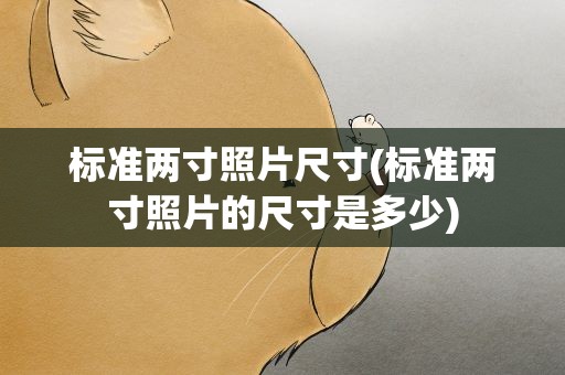 标准两寸照片尺寸(标准两寸照片的尺寸是多少)