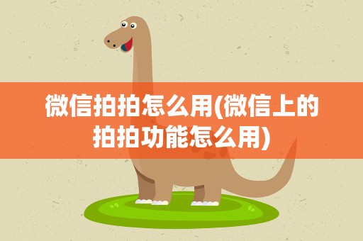 微信拍拍怎么用(微信上的拍拍功能怎么用)