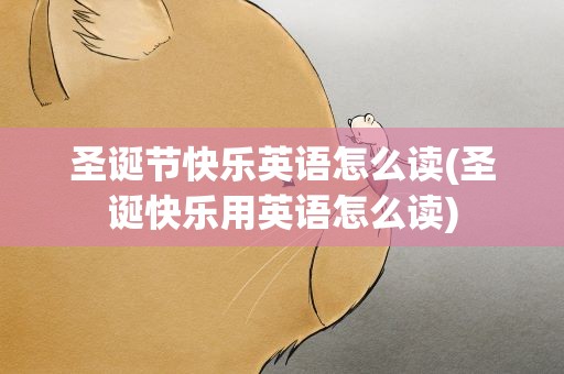圣诞节快乐英语怎么读(圣诞快乐用英语怎么读)