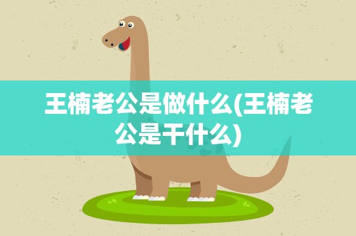 王楠老公是做什么(王楠老公是干什么)