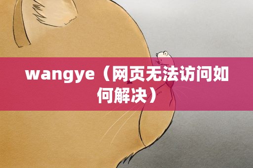 wangye（网页无法访问如何解决）