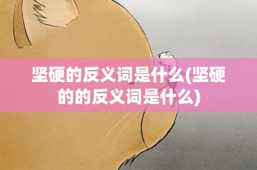坚硬的反义词是什么(坚硬的的反义词是什么)