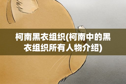 柯南黑衣组织(柯南中的黑衣组织所有人物介绍)