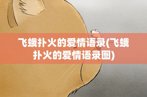 飞蛾扑火的爱情语录(飞蛾扑火的爱情语录图)