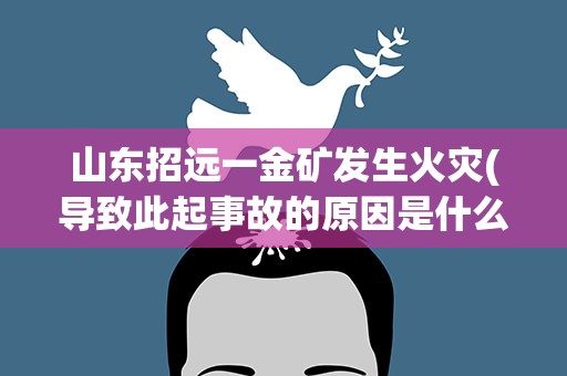 山东招远一金矿发生火灾(导致此起事故的原因是什么)