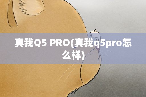 真我Q5 PRO(真我q5pro怎么样)