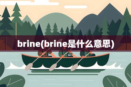 brine(brine是什么意思)