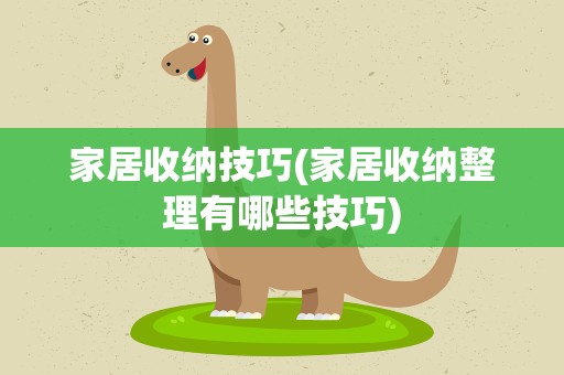 家居收纳技巧(家居收纳整理有哪些技巧)