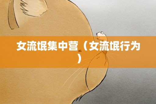女流氓集中营（女流氓行为）