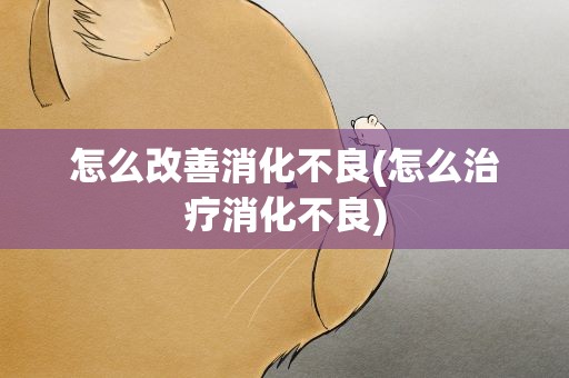 怎么改善消化不良(怎么治疗消化不良)