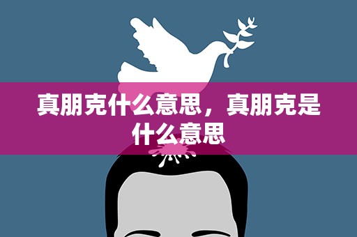 真朋克什么意思，真朋克是什么意思