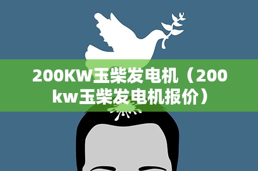 200KW玉柴发电机（200kw玉柴发电机报价）