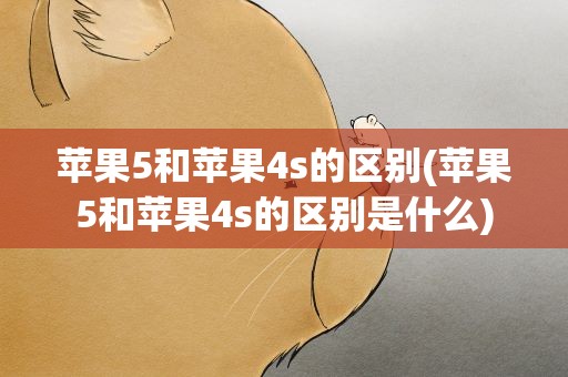 苹果5和苹果4s的区别(苹果5和苹果4s的区别是什么)