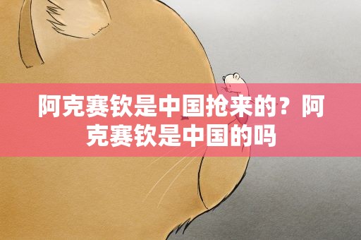 阿克赛钦是中国抢来的？阿克赛钦是中国的吗
