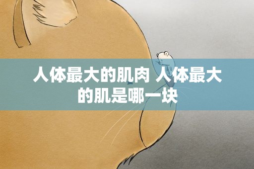 人体最大的肌肉 人体最大的肌是哪一块