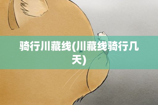 骑行川藏线(川藏线骑行几天)