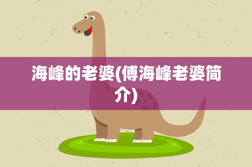海峰的老婆(傅海峰老婆简介)