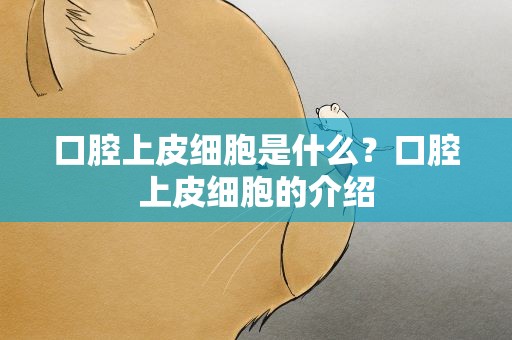 口腔上皮细胞是什么？口腔上皮细胞的介绍