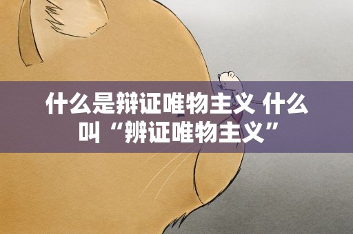 什么是辩证唯物主义 什么叫“辨证唯物主义”