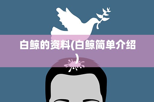 白鲸的资料(白鲸简单介绍)