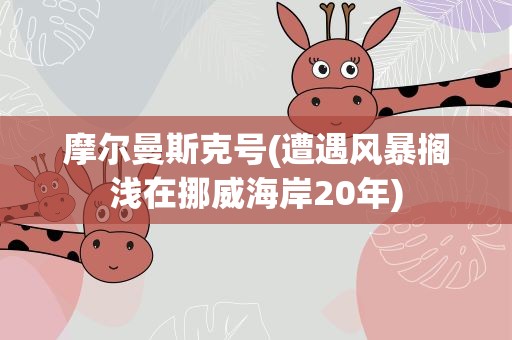 摩尔曼斯克号(遭遇风暴搁浅在挪威海岸20年)
