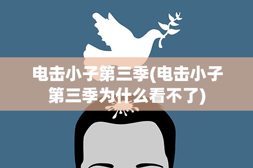电击小子第三季(电击小子第三季为什么看不了)