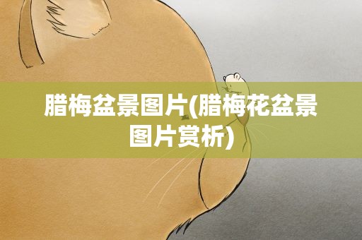 腊梅盆景图片(腊梅花盆景图片赏析)