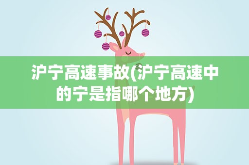 沪宁高速事故(沪宁高速中的宁是指哪个地方)