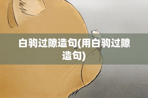 白驹过隙造句(用白驹过隙造句)