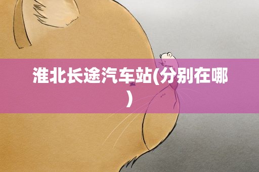淮北长途汽车站(分别在哪)