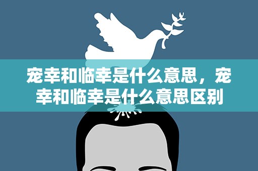 宠幸和临幸是什么意思，宠幸和临幸是什么意思区别