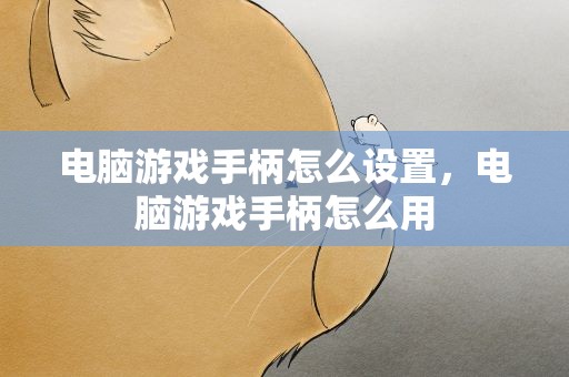 电脑游戏手柄怎么设置，电脑游戏手柄怎么用