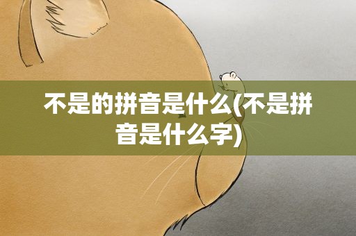 不是的拼音是什么(不是拼音是什么字)
