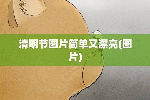 清明节图片简单又漂亮(图片)