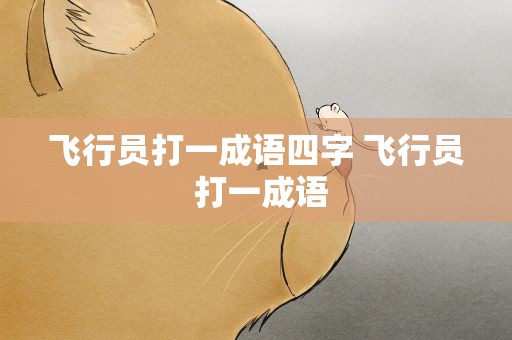 飞行员打一成语四字 飞行员 打一成语