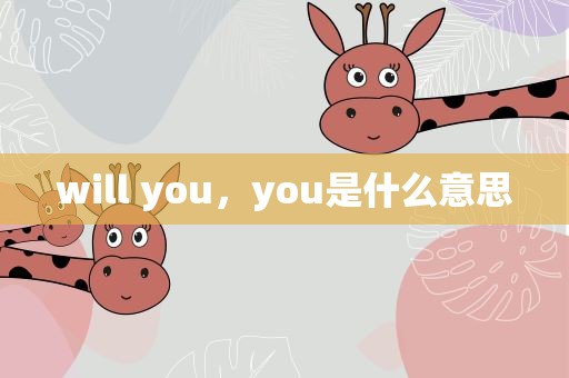 will you，you是什么意思