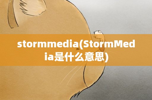 stormmedia(StormMedia是什么意思)