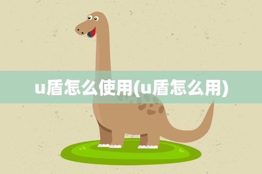 u盾怎么使用(u盾怎么用)