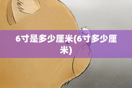 6寸是多少厘米(6寸多少厘米)
