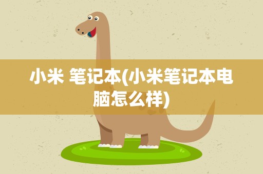 小米 笔记本(小米笔记本电脑怎么样)