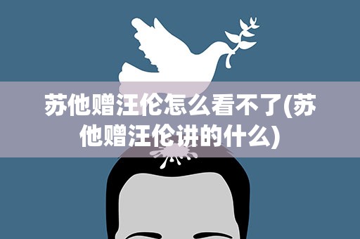 苏他赠汪伦怎么看不了(苏他赠汪伦讲的什么)